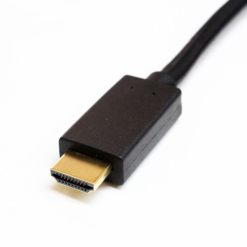 Tera Grand DisplayPort Male to HDMI Male Cable (10')