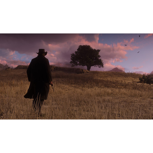 Take-Two Red Dead Redemption 2 (Xbox One)