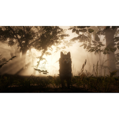 Take-Two Red Dead Redemption 2 (Xbox One)