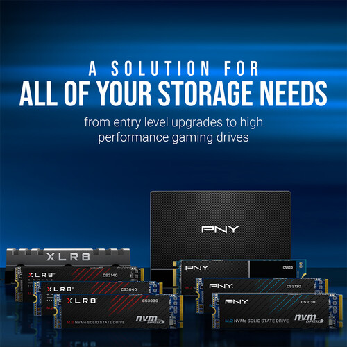 PNY Technologies 250GB CS900 SATA III 2.5