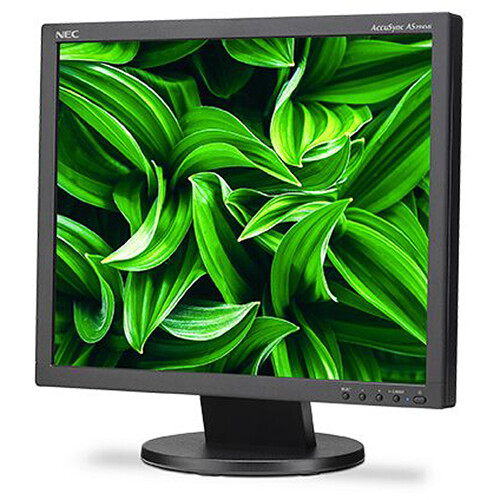 NEC AccuSync AS194Mi 19