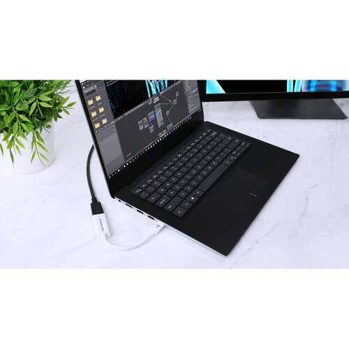 IOGEAR USB Type-C Male to DisplayPort Female Adapter