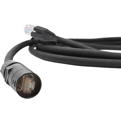 Pro Co Sound ProCat 5 10/100 Base-T Ethernet Cable RJ-45/ EtherCon (25')