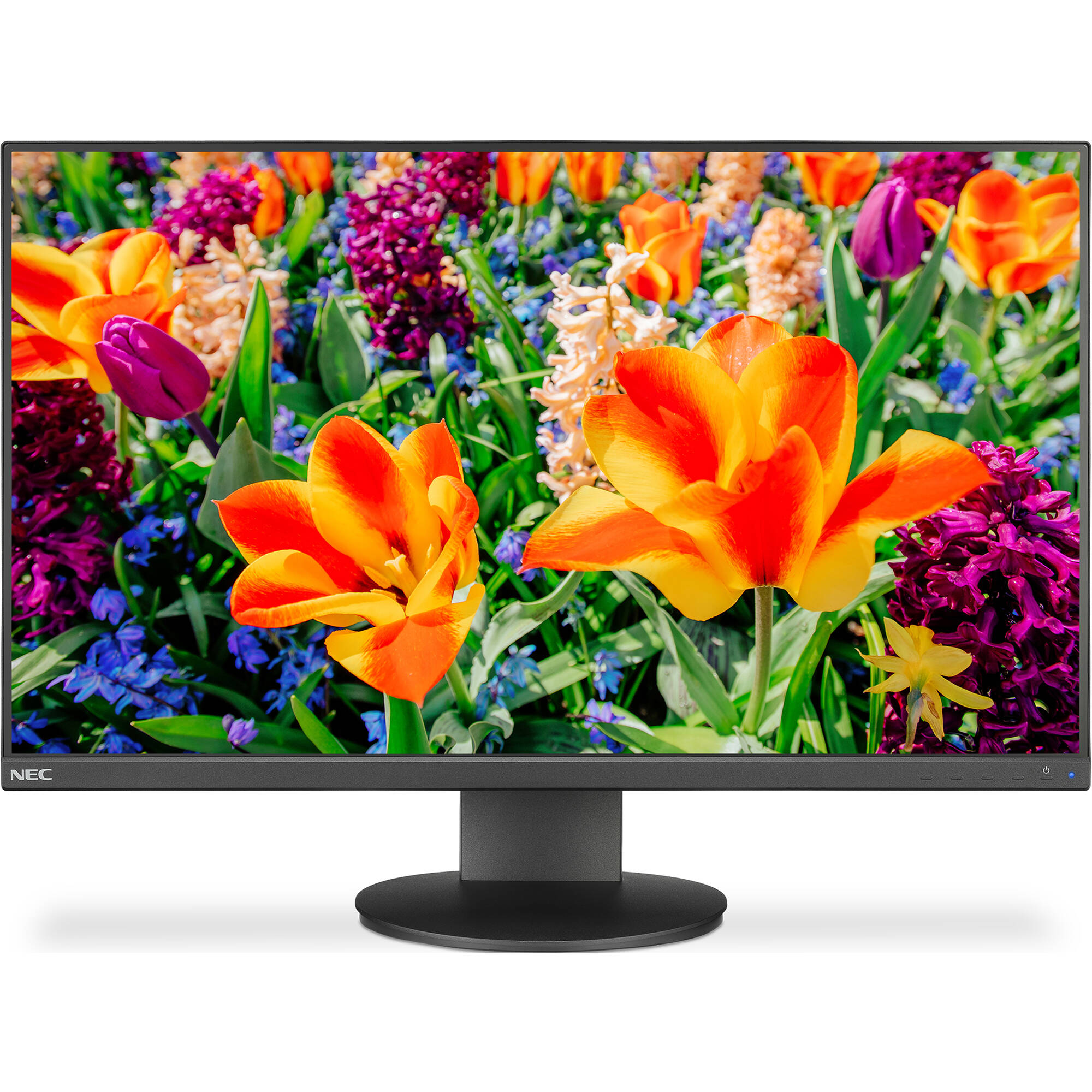 NEC MultiSync E243F-BK 23.8" 16:9 Full HD IPS Monitor